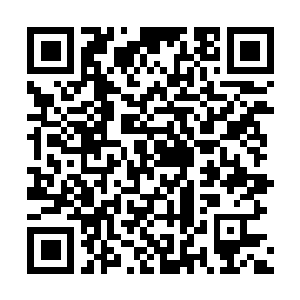 Link zu deiner Spendenaktion QRCode - Fundraising