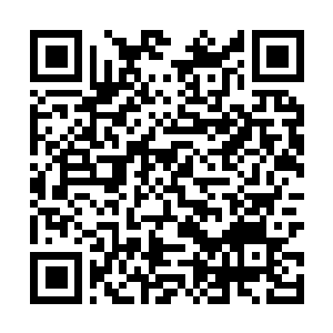 Link zu deiner Spendenaktion QRCode - Fundraising