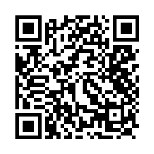 Link zu deiner Spendenaktion QRCode - Fundraising