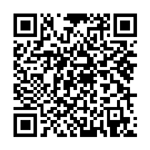 Link zu deiner Spendenaktion QRCode - Fundraising