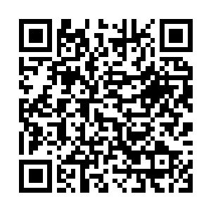 Link zu deiner Spendenaktion QRCode - Fundraising