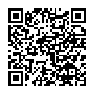 Link zu deiner Spendenaktion QRCode - Fundraising