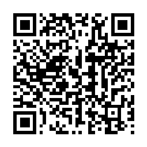 Link zu deiner Spendenaktion QRCode - Fundraising