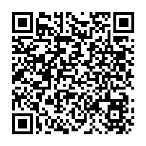 Link zu deiner Spendenaktion QRCode - Fundraising