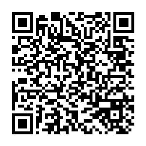 Link zu deiner Spendenaktion QRCode - Fundraising