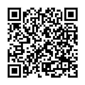 Link naar je actie QRCode - Fondswerving