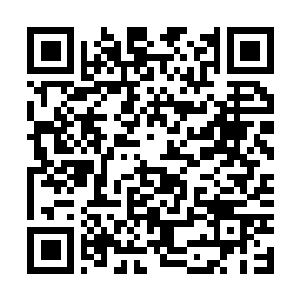 Link naar je actie QRCode - Fondswerving