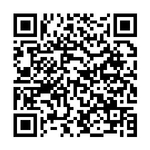 Link naar je actie QRCode - Fondswerving