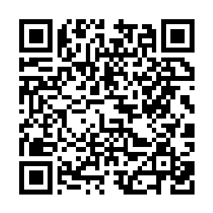 Link naar je actie QRCode - Fondswerving