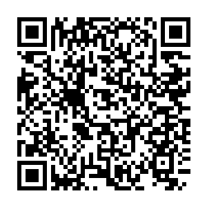 Link naar je actie QRCode - Fondswerving