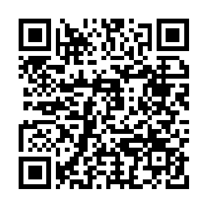 Link naar je actie QRCode - Fondswerving