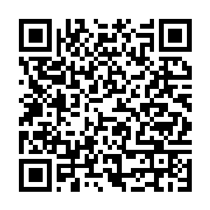 Link naar je actie QRCode - Fondswerving