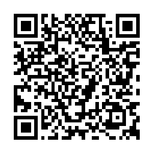 Link naar je actie QRCode - Fondswerving
