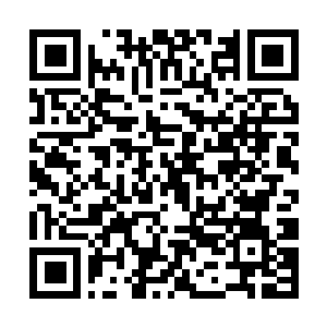 Link naar je actie QRCode - Fondswerving