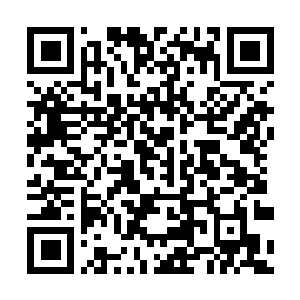 Link naar je actie QRCode - Fondswerving