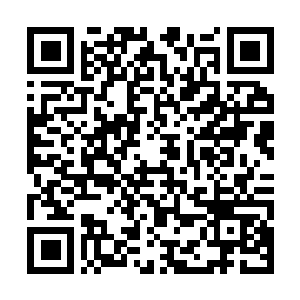 Link naar je actie QRCode - Fondswerving