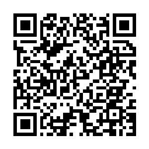 Link naar je actie QRCode - Fondswerving