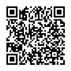 Link naar je actie QRCode - Fondswerving
