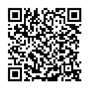 Link naar je actie QRCode - Fondswerving