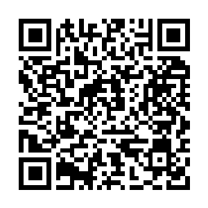 Link naar je actie QRCode - Fondswerving