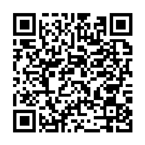 Link naar je actie QRCode - Fondswerving