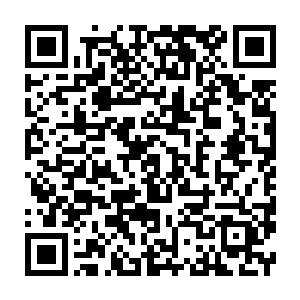 Link naar je actie QRCode - Fondswerving