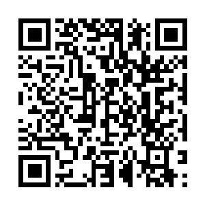 Link naar je actie QRCode - Fondswerving