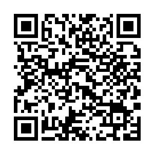 Link naar je actie QRCode - Fondswerving