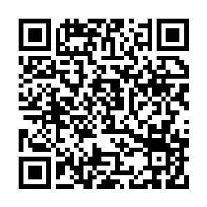 Link naar je actie QRCode - Fondswerving