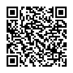 Link naar je actie QRCode - Fondswerving