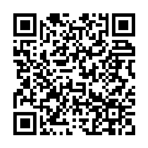 Link naar je actie QRCode - Fondswerving