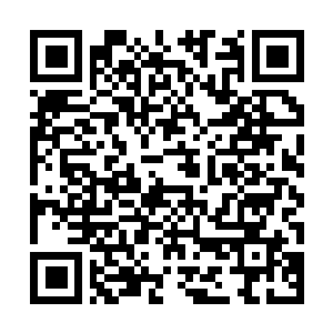 Link naar je actie QRCode - Fondswerving