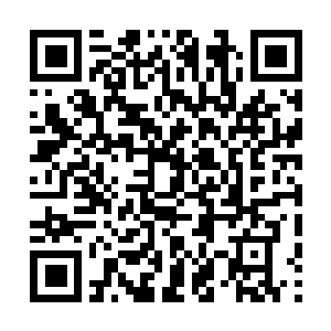 Link naar je actie QRCode - Fondswerving