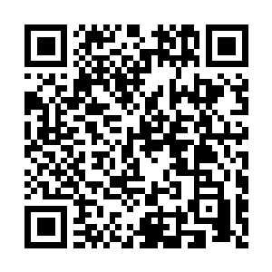 Link naar je actie QRCode - Fondswerving
