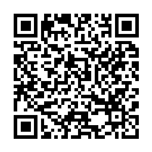 Link naar je actie QRCode - Fondswerving