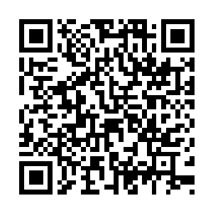 Link naar je actie QRCode - Fondswerving