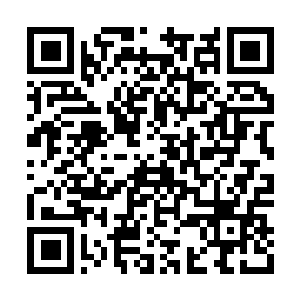 Link naar je actie QRCode - Fondswerving