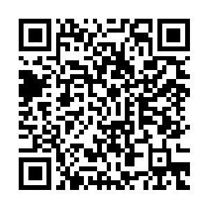Link naar je actie QRCode - Fondswerving