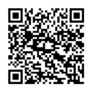 Link naar je actie QRCode - Fondswerving