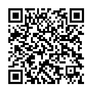 Link naar je actie QRCode - Fondswerving