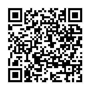 Link naar je actie QRCode - Fondswerving