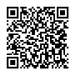 Link naar je actie QRCode - Fondswerving