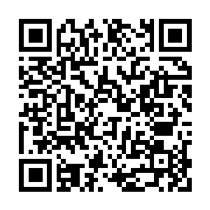 Link naar je actie QRCode - Fondswerving