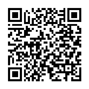 Link naar je actie QRCode - Fondswerving