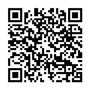 Link naar je actie QRCode - Fondswerving