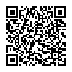 Link naar je actie QRCode - Fondswerving