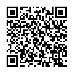 Link naar je actie QRCode - Fondswerving