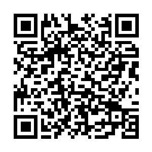 Link naar je actie QRCode - Fondswerving
