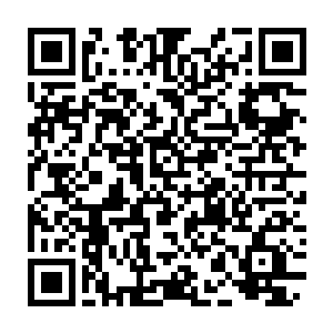 Link naar je actie QRCode - Fondswerving