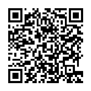 Link naar je actie QRCode - Fondswerving